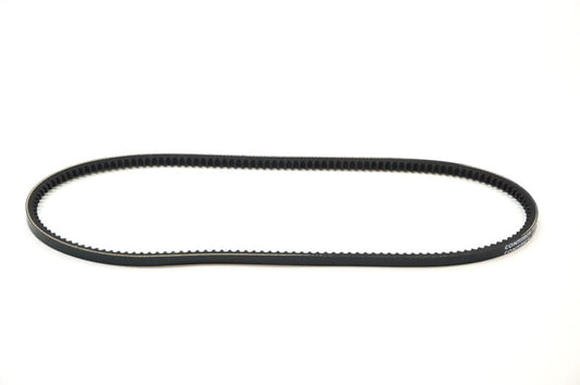 M20 Alternator Belt