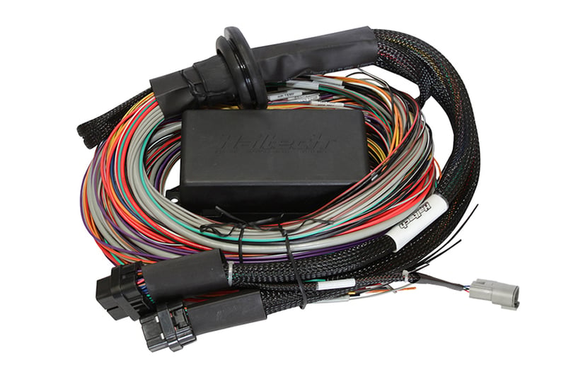 HALTECH Elite 1500 + Premium Universal Wire-in Harness Kit Length: 2.5m (8')