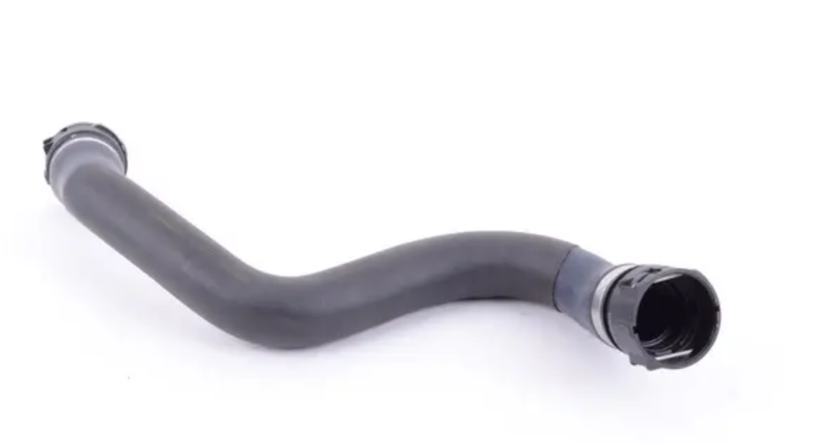 Bottom Radiator Hose